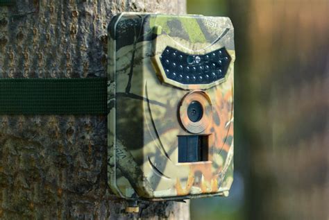 Waterproof Night Vision Wildlife Camera Offer - Wowcher