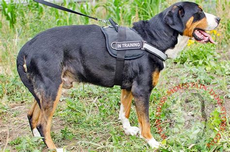 Nylon Swiss Mountain Dog Harness with Reflective Strap for Training, Walking, Police Service ...