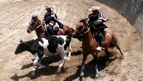 10 traditions des Fiestas Patrias à ne pas manquer - Travel Coach Chile