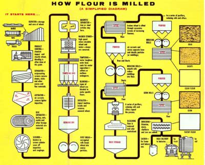 Why I Work in Flour Milling – Grain Milling Careers