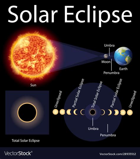 Diagram showing solar eclipse on earth Royalty Free Vector