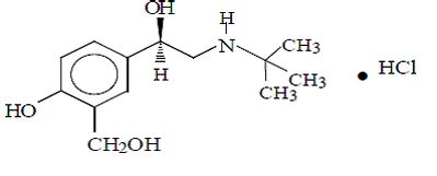 Xopenex (Levalbuterol): Uses, Dosage, Side Effects, Interactions, Warning