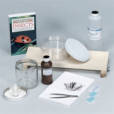 Basic Entomology Kit | Carolina Biological Supply