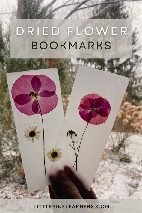 Pressed and Dried Flower Bookmarks • Little Pine Learners