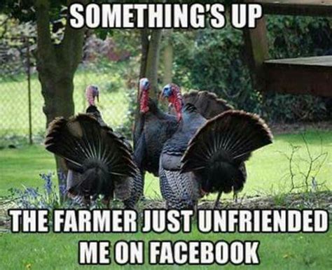 Uh oh. | Happy thanksgiving memes, Funny thanksgiving images, Funny thanksgiving pictures