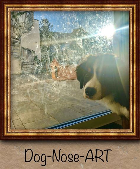 Dog Nose ART Dog Nose, Modern Pop Art, Nose Art, Dogs, Painting, Pet ...