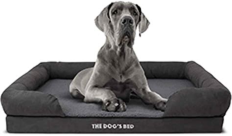 5 Best Orthopedic Dog Beds UK [Top Recommendations & Buyer's Guide]