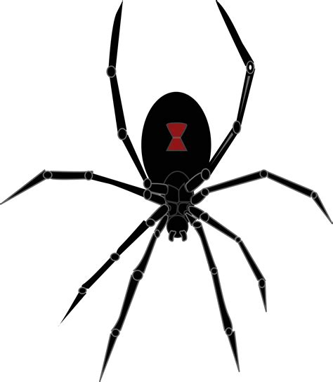 Clipart - Black Widow Spider