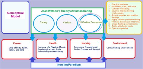 Nursing Philosophy and Conceptual Framework | Free Essay Example