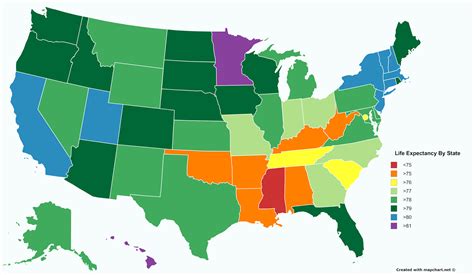 Life Expectancy by U.S. State | Infographic map, Map, Cartography map