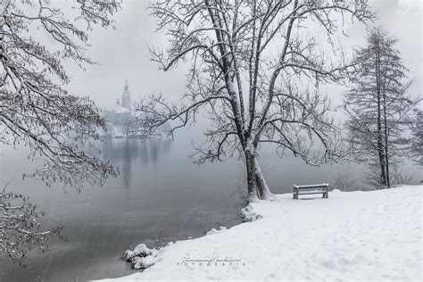 Bled, Winter Wonderland, Slovenia