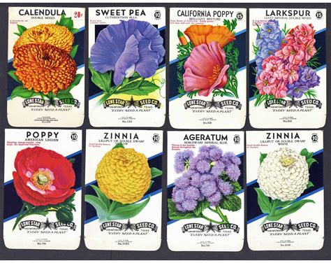 A Collection of 15 Vintage Flower Seed Packets – thelabelman