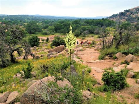 Vegetation, Chaparral, Shrubland, Wilderness Picture. Image: 124708938