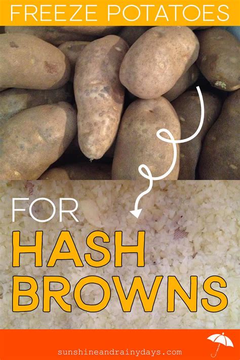 How To Freeze Potatoes For Hash Browns - Sunshine and Rainy Days