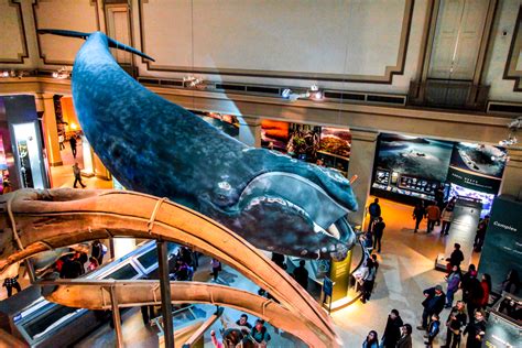 Photo of the Smithsonian National Museum of Natural History in Washington DC, USA ...