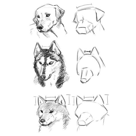 MHC on Instagram: “【MHC 筆記】﻿ 【30 days challenge #14】﻿﻿﻿﻿﻿ 🐶[dog faces study] 🐶﻿ Trying to f ...