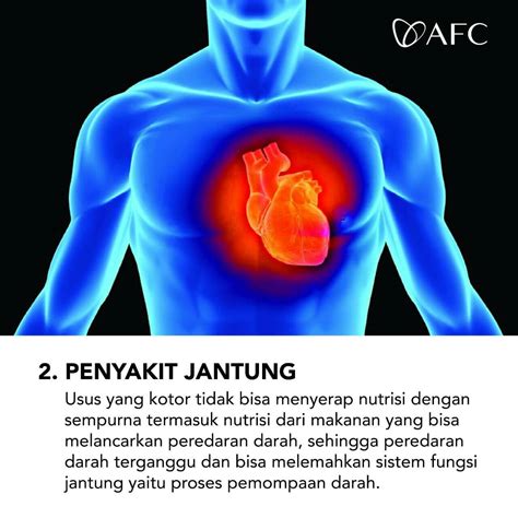 Akibat Dari Usus Kotor (2) | AFC Indo