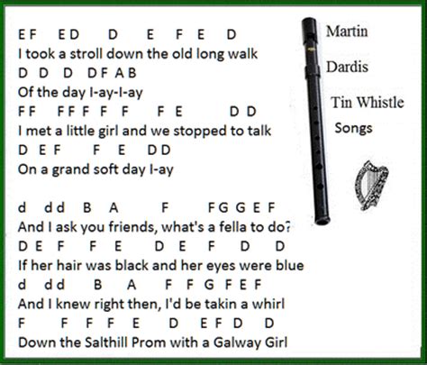 Galway Girl Song Lyrics Guitar Chords And Tin Whistle Sheet Music ...