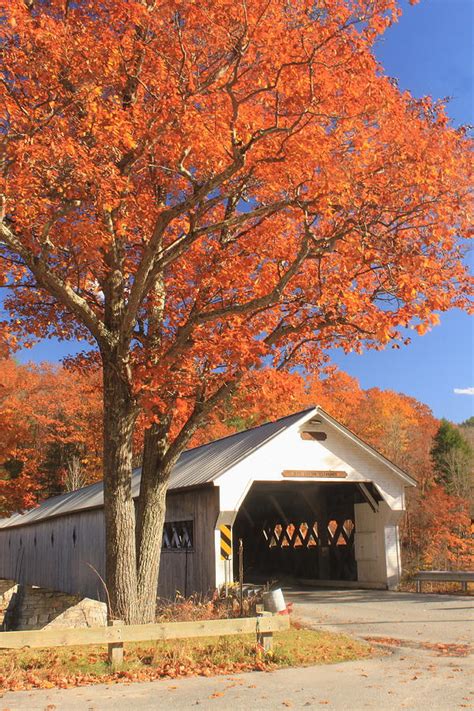 West River Covered Bridge Vermont Fall Foliage Photograph by John Burk