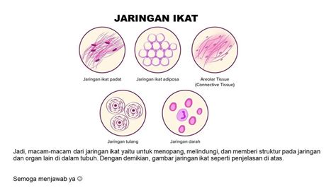 Jenis Jaringan Ikat - Homecare24