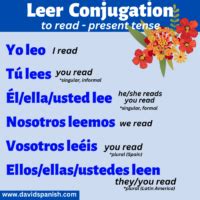 Leer Conjugation: How to Conjugate to Read in Spanish