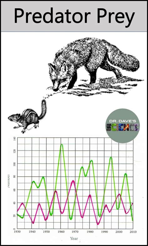 Predator and Prey Relationship and Graph NGSS MS-LS2-2 | Life science classroom, Life science ...