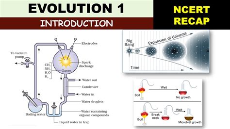 Evolution | NCERT Summary 1 | Oparin Haldane Hypothesis | Miller Experiment | Dr Ghanshyam ...