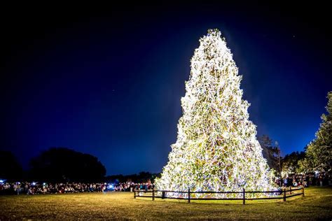 Nights of a Thousand Candles 2018 Kicks off at Brookgreen Gardens