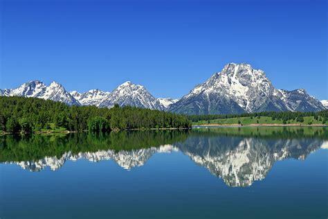 Reflections From Jackson Lake Photograph by Joan Escala