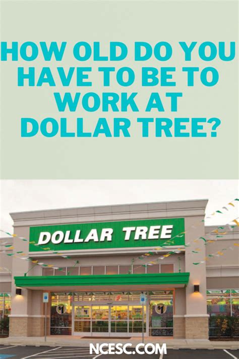 How Old Do You Have to Be to Work at Dollar Tree? – Discovering ...