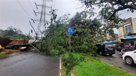 Gegara Pohon Tumbang, Lalu Lintas di Jalan Boulevard GDC Macet Panjang ...