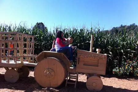 Farm Adventures - Hillside Orchard Farms