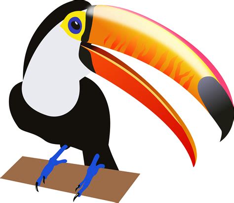 cute baby toucan clipart 20 free Cliparts | Download images on ...