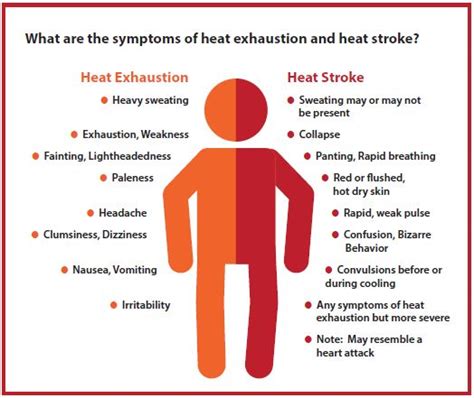 Preventing Heat Stress at Work - The United Food & Commercial Workers ...