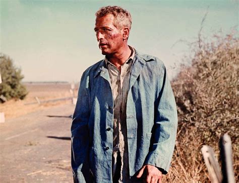 Cool Hand Luke Paul Newman