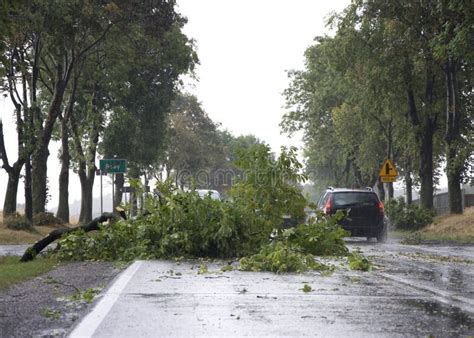 Wind Storm Damage stock photo. Image of damage, dangerous - 59480378