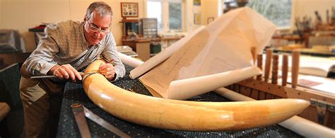 Elephant Tusk Ivory - David Warther Carvings