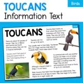 Toucan Facts Teaching Resources | TPT