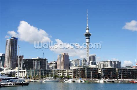 Auckland Cityscape Wallpaper Mural | Wallsauce US