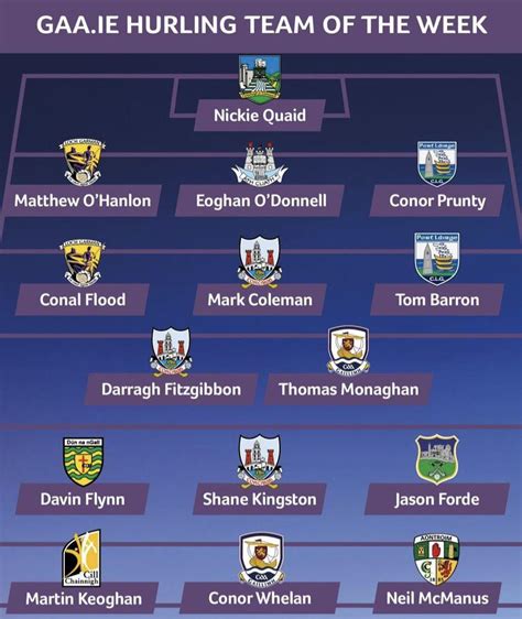 Hurling Team of the Week : r/GAA