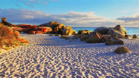 Bay of Fires Sunrise Photograph by Lexa Harpell - Fine Art America