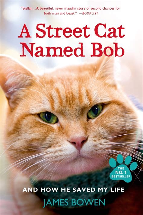 A Street Cat Named Bob by James Bowen - Book - Read Online