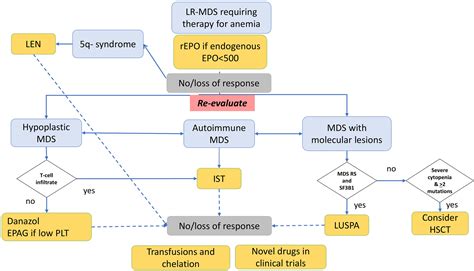 Frontiers | Low-Risk Myelodysplastic Syndrome Revisited: Morphological ...