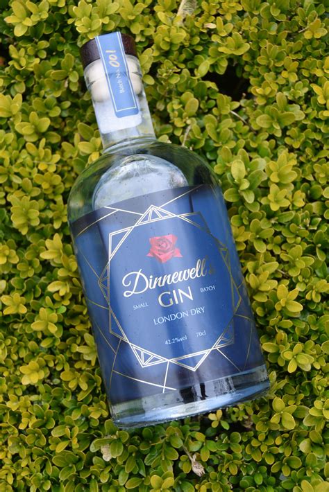 Dinnewell’s London Dry Gin | The Gin To My Tonic