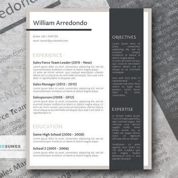 Professional Resume Templates, Ideal for a White-Collar Job - Freesumes Free Professional Resume ...