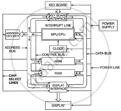 Draw a Neat and Labelled Block Diagram of Micro-computer. - Computer ...