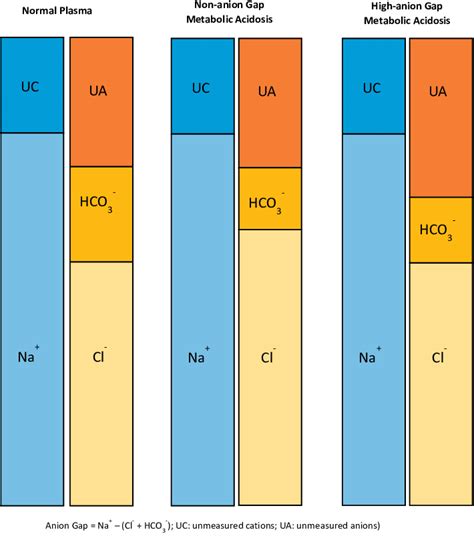 -High-anion gap and non-anion gap metabolic acidosis. | Download Scientific Diagram