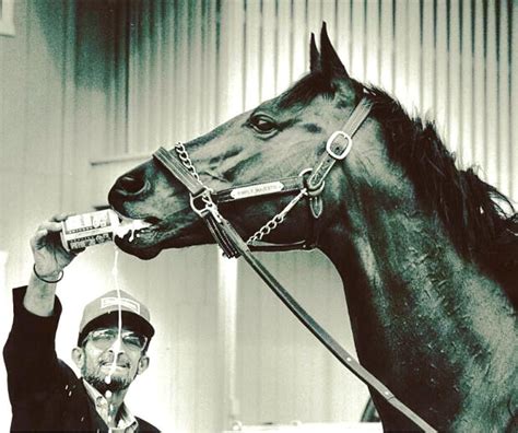 Happy Derby Day California Parks, Ruffian, Derby Day, All The Pretty ...