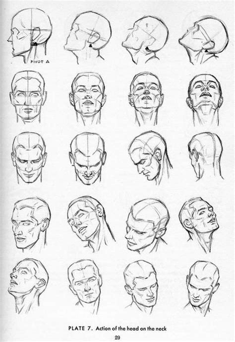 Head Drawing Reference Guide | Drawing Referenc...