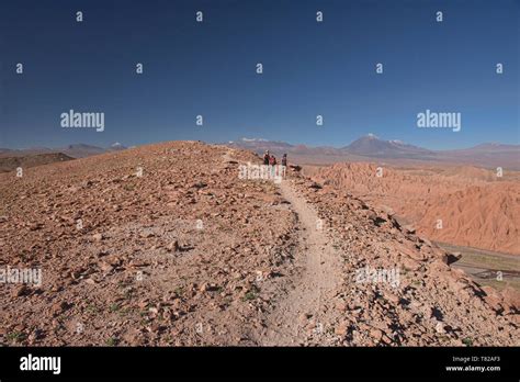 Hiking above Licancabur volcano and the desert landscape in the Moon Valley, San Pedro de ...